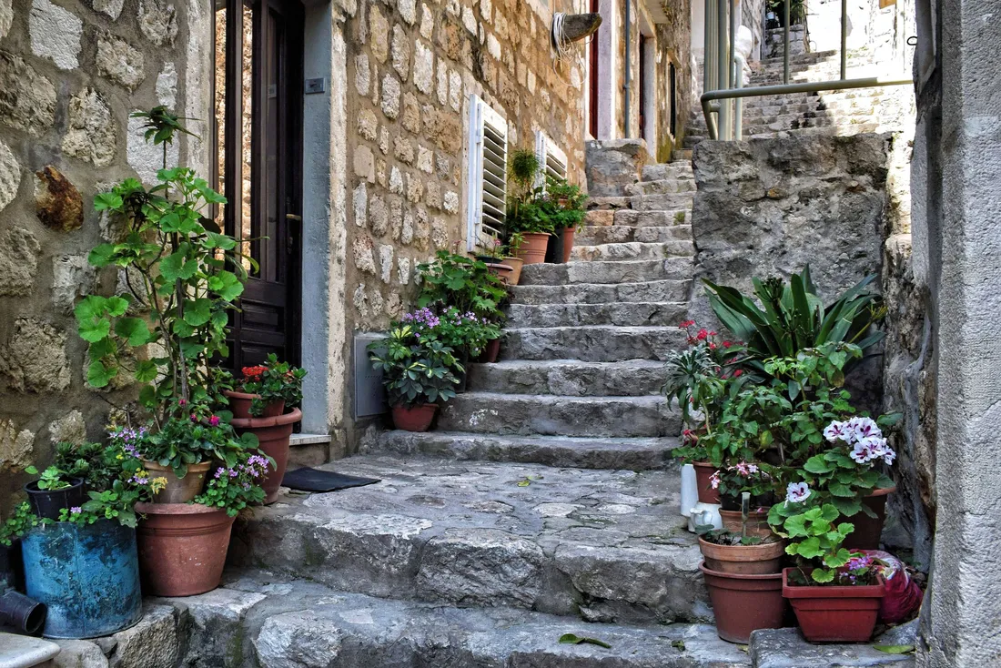 Escalier de pierre bordé de pots de fleurs devant une maison de village (Masseube, Gers)